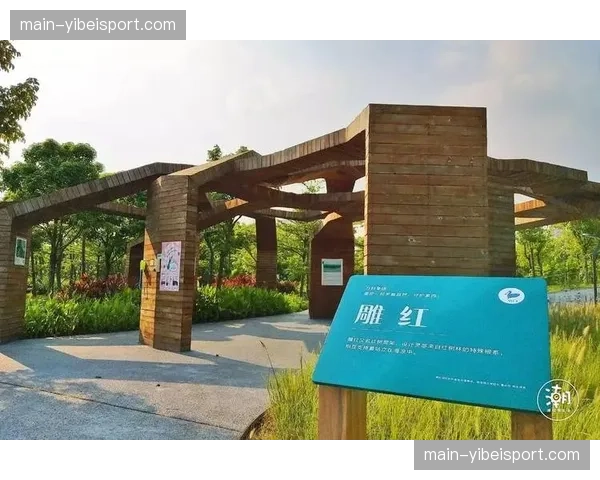 深圳新主场草坪完成赛季第四次维护，排水系统通过压力测试